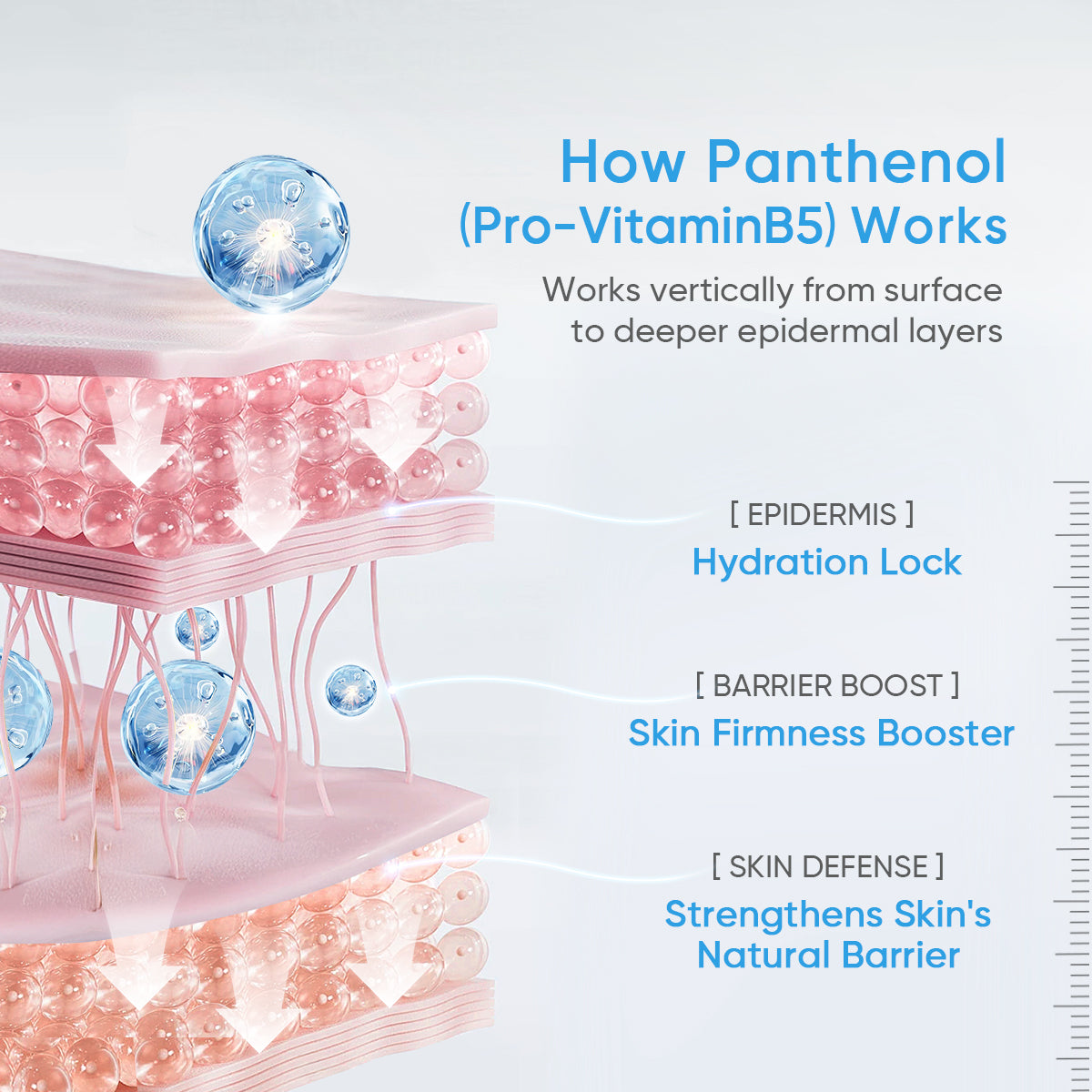 Ceramide B5 Balancing Toner