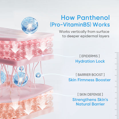 Ceramide B5 Balancing Toner